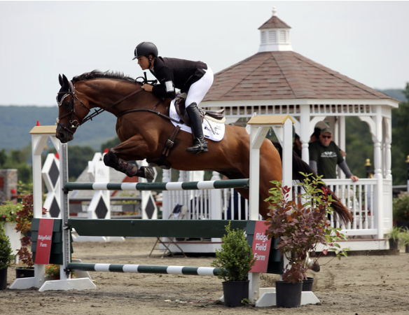 Millbrook horse Trials 